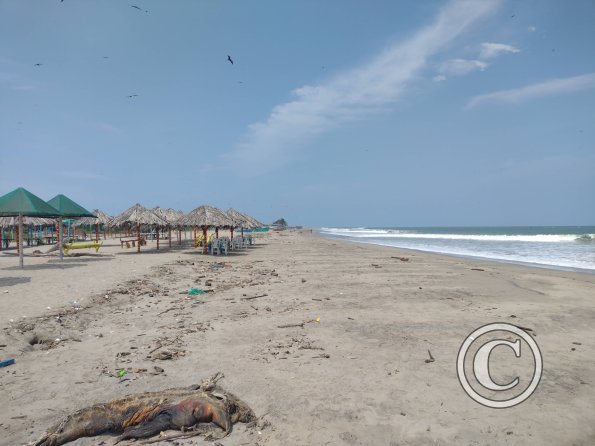 The beach