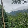 View from the top of the stairs from Av. Circumvalacion