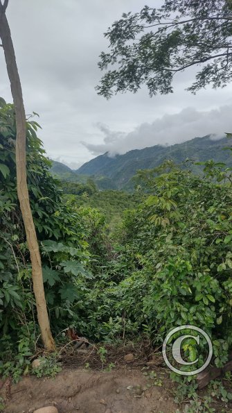 View from the top of the stairs from Av. Circumvalacion