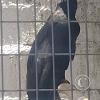 Zoologico Gallita De Las Rocas at Av. Castilla near Malecon 28 de Junio (47)