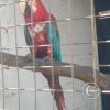 Zoologico Gallita De Las Rocas at Av. Castilla near Malecon 28 de Junio (65)