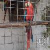 Zoologico Gallita De Las Rocas at Av. Castilla near Malecon 28 de Junio (68)