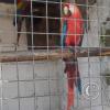 Zoologico Gallita De Las Rocas at Av. Castilla near Malecon 28 de Junio (69)