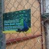 Zoologico Gallita De Las Rocas at Av. Castilla near Malecon 28 de Junio (79)