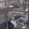 Zoologico Gallita De Las Rocas at Av. Castilla near Malecon 28 de Junio (98)