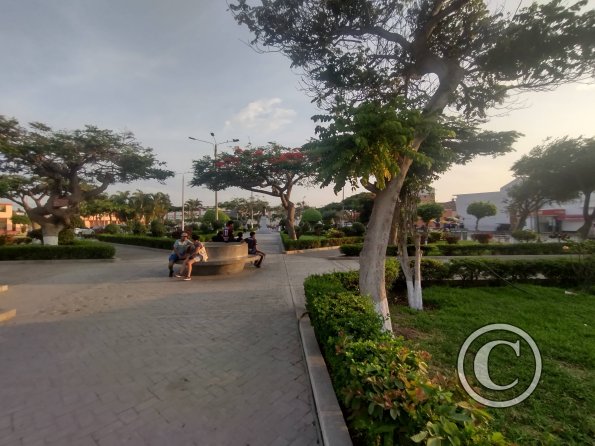 IMG_20240312_180006161_HDR