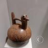 IMG_20240313_125155818