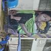 Mural at Jiron Daniel Alcides Araarion and Calle Atanacio Jauregui