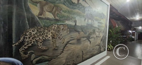 Mural inside Hospedaje Samiria (4)