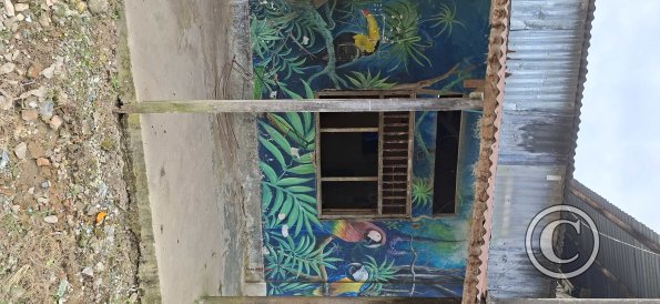 Mural on Calle Atanacio Jauregui and Jiron Fitzcarrald