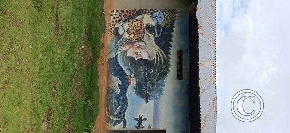 Mural on Calle Clavero and Jiron Almirante Grau (2)