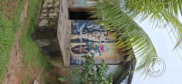 Mural on Calle Jose Mirayari and Calle 12 de Octubre (2)