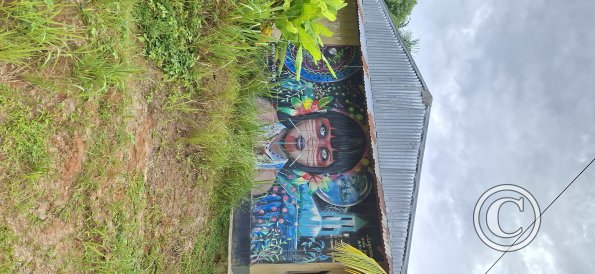 Mural on Calle Jose Mirayari and Calle 12 de Octubre