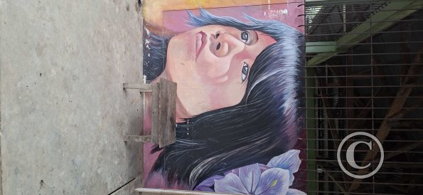 Mural on Calle Loreto and Jiron Fitzcarrald (4)