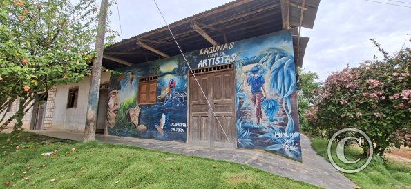 Mural on Jiron Almirante Grau and Calle 12 de Octubre (2)