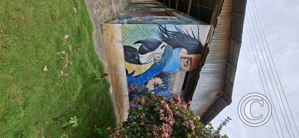 Mural on Jiron Almirante Grau and Calle 12 de Octubre (3)