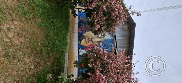 Mural on Jiron Almirante Grau and Calle 12 de Octubre (4)