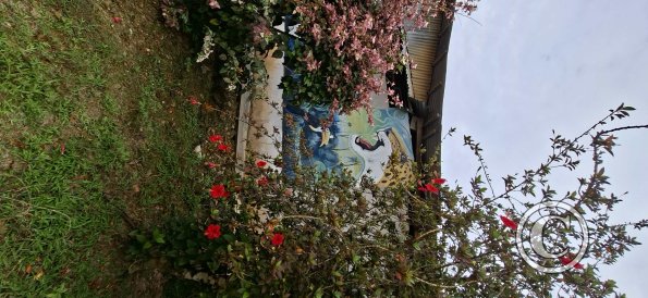 Mural on Jiron Almirante Grau and Calle 12 de Octubre (5)
