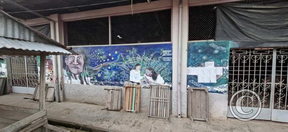 Mural on Jiron Fitzcarrald and Calle Loreto (2)