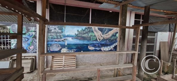 Mural on Jiron Fitzcarrald and Calle Loreto