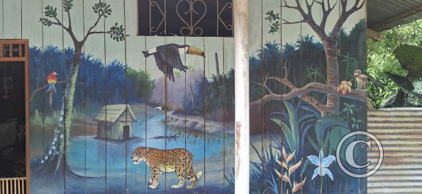 Mural on Jiron Padre Lucero at Jiron Sargento Lores (2)
