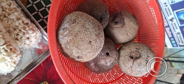 Pods that contain Brazil Nuts