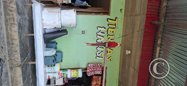 Red Parrot