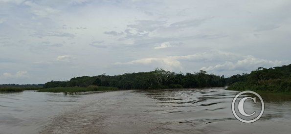Rio Huallaga (4)