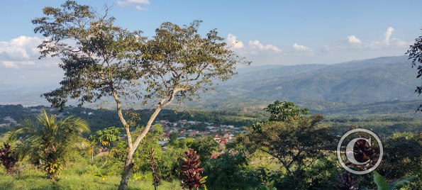 IMG_20250715_161735887_HDR