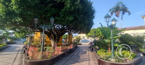 IMG_20250716_071757237_HDR