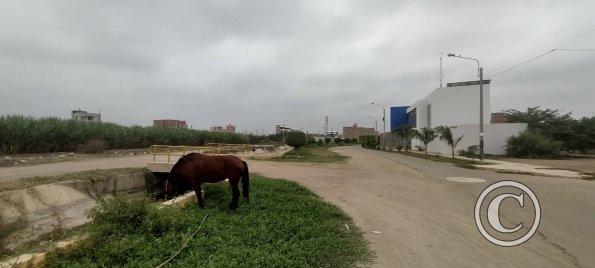 Alameda Real, Calle A at Calle P