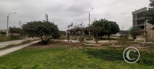 Alameda Real, park near Calle K