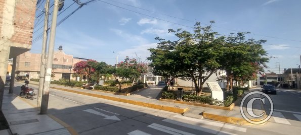 Jose Carlos Mariatequi and Los Geranios