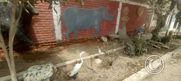 Mural, 3D, at Mateo Pumacahua and F. Sanchez (2)