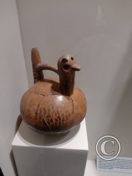 Museo Arqueológico Nacional Brüning (18)