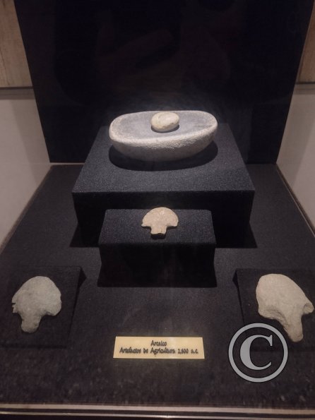 Museo Arqueológico Nacional Brüning (24)
