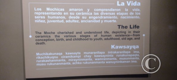Museum-Tumbas Reales de Sipan (11)