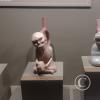 Museum-Tumbas Reales de Sipan (14)