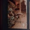 Museum-Tumbas Reales de Sipan (22)