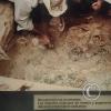 Museum-Tumbas Reales de Sipan (26)