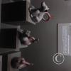 Museum-Tumbas Reales de Sipan (4)