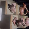 Museum-Tumbas Reales de Sipan (5)