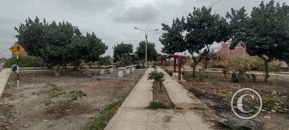 Park on unnamed street (2)