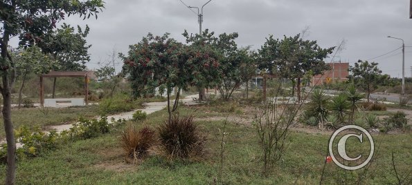 Park on unnamed street