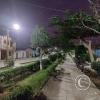 street scene (10)
