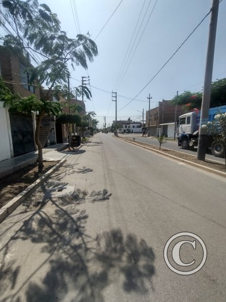 street scene (12)