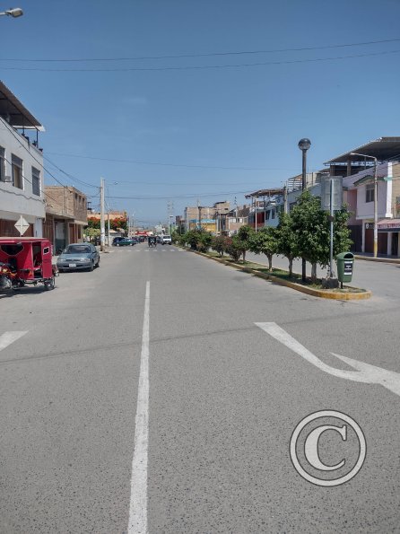 street scene (13)