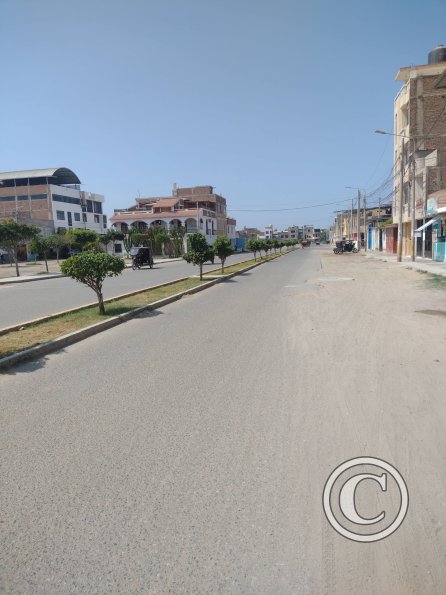street scene (14)