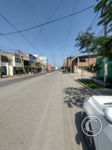 street scene (15)