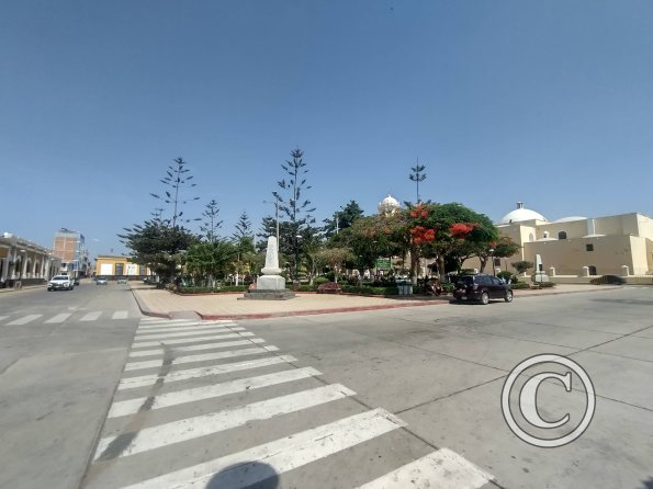 street scene (18)